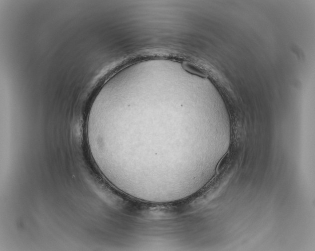 X0000111030064200907161333