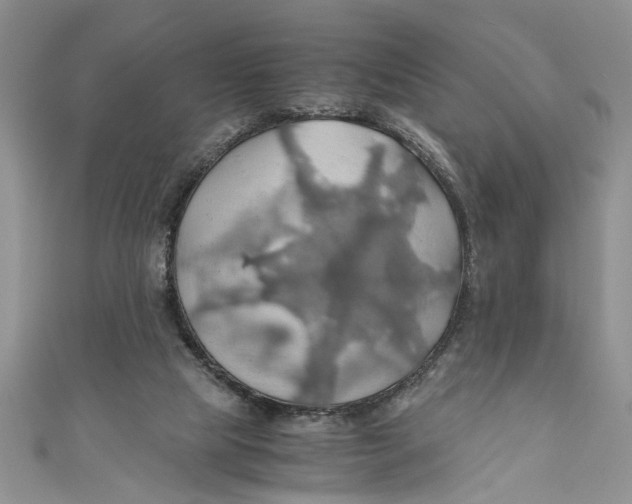 X0000111030065200907161333