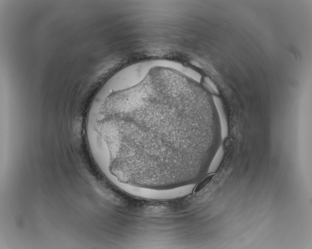 X0000111030066200907161333