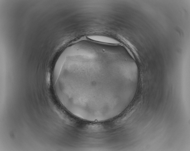 X0000111030067200907161333