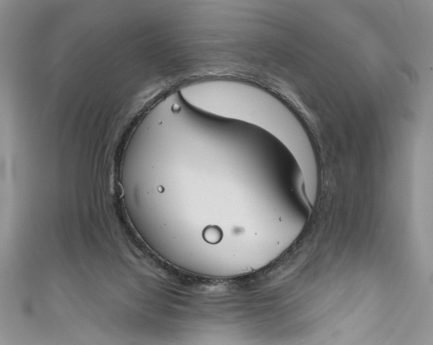 X0000111030068200907161333