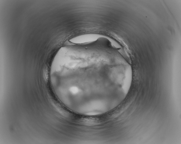 X0000111030069200907161333