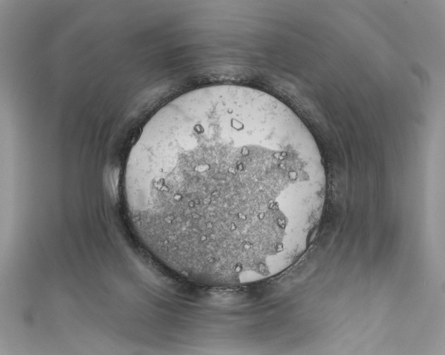 X0000111030070200907161333