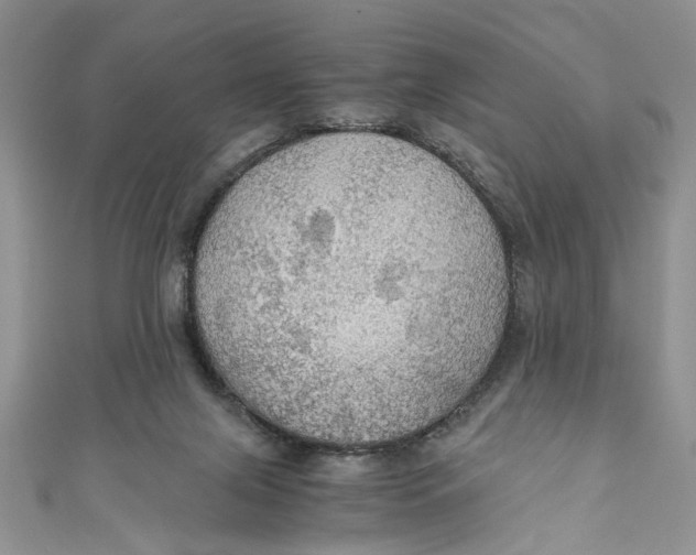 X0000111030071200907161333