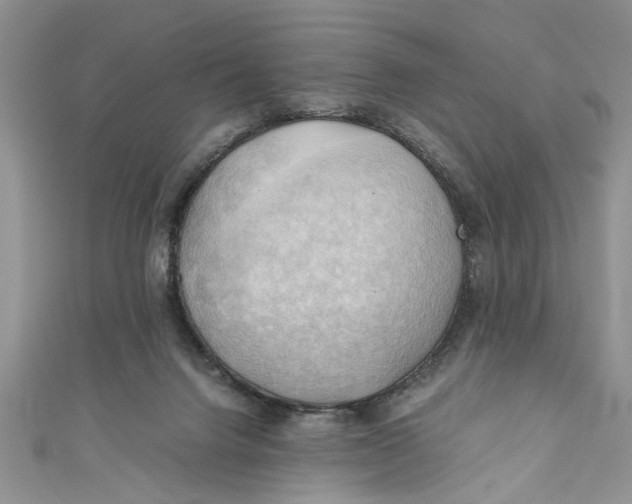 X0000111030072200907161333