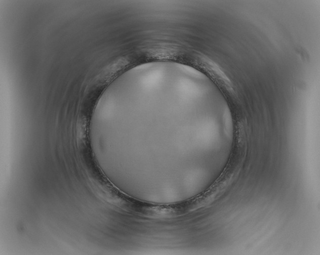 X0000111030073200907161333