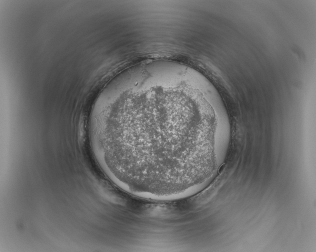 X0000111030074200907161333