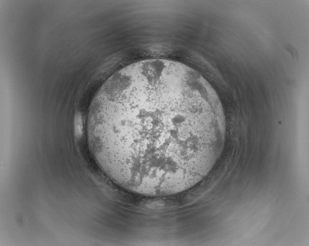 X0000111030075200907161333