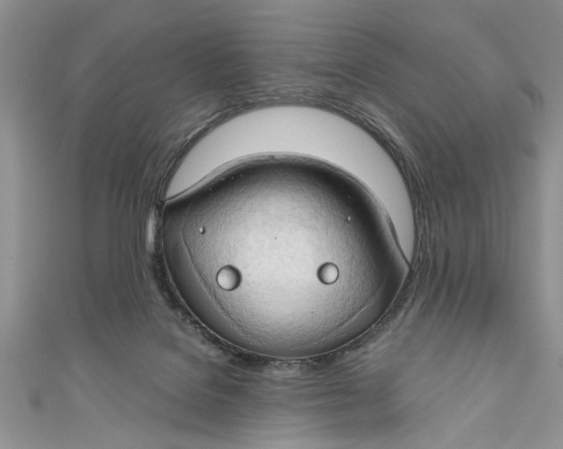 X0000111030076200907161333