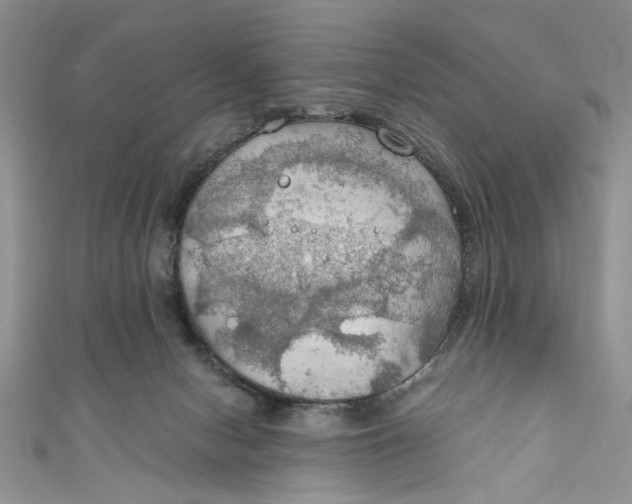 X0000111030078200907161333