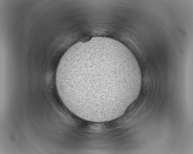 X0000111030079200907161333