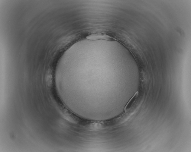 X0000111030080200907161333