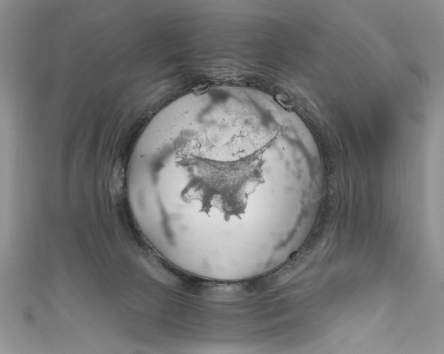 X0000111030081200907161333