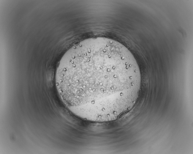 X0000111030082200907161333