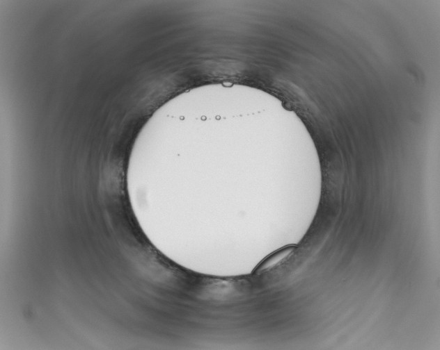 X0000111030083200907161333