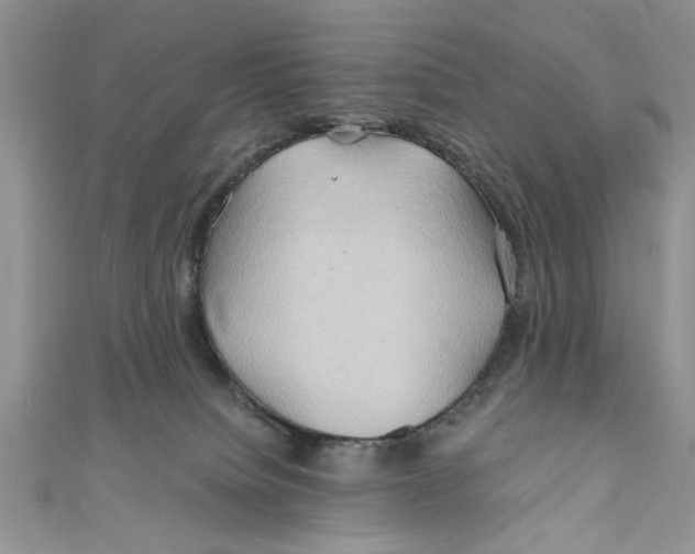 X0000111030084200907161333