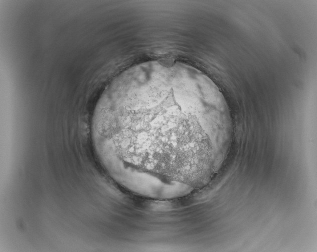 X0000111030085200907161333