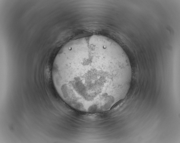 X0000111030086200907161333