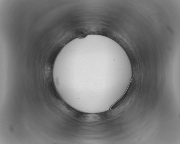 X0000111030087200907161333