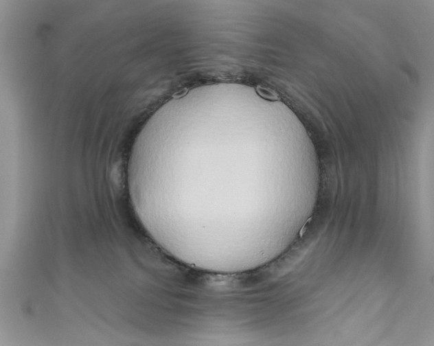 X0000111030088200907161333