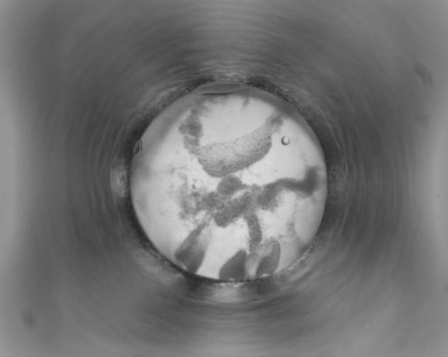 X0000111030090200907161333