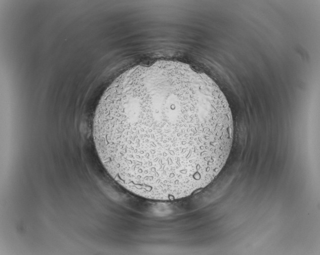 X0000111030091200907161333