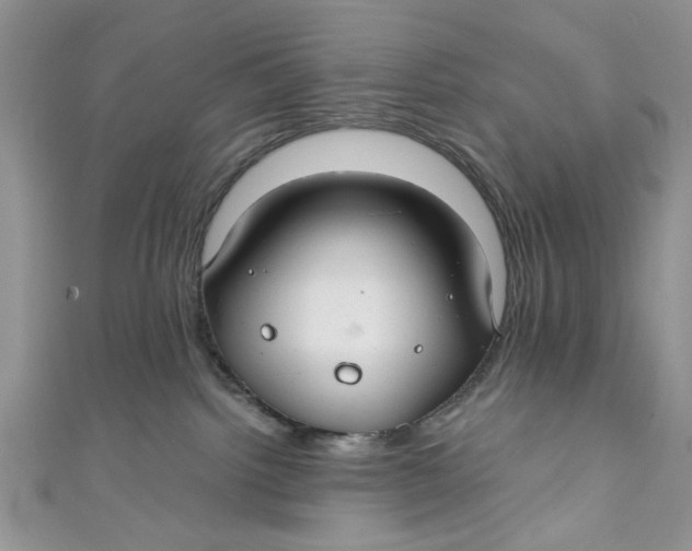 X0000111030092200907161333