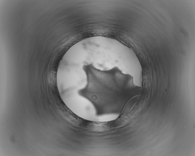 X0000111030093200907161333