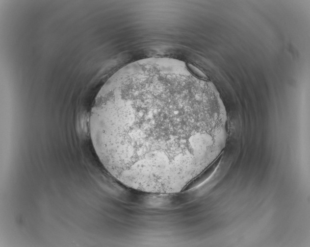 X0000111030094200907161333