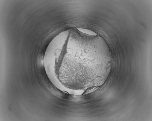 X0000111030095200907161333