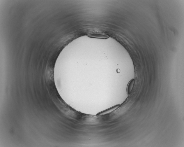 X0000111030096200907161333