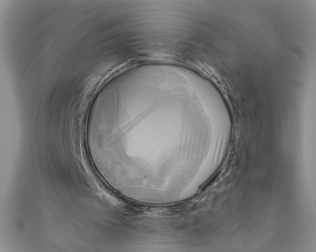 X0000111030097200907161333