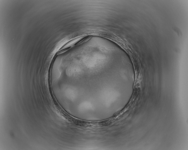 X0000111030099200907161333