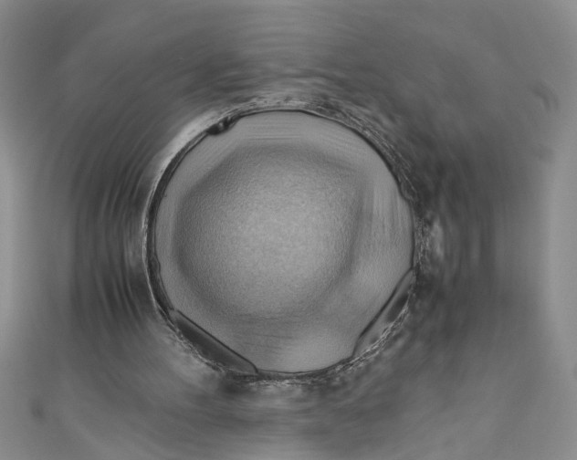 X0000111030100200907161333