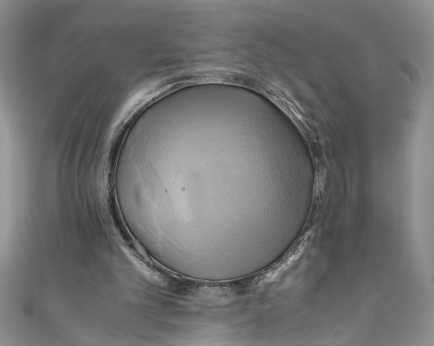 X0000111030101200907161333