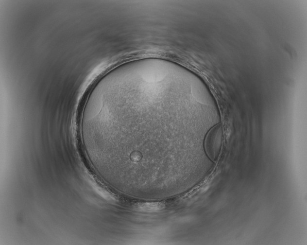 X0000111030102200907161333