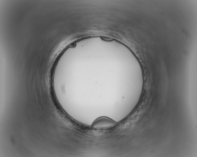 X0000111030103200907161333