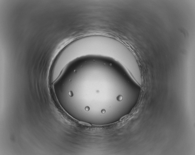 X0000111030104200907161333