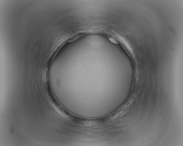 X0000111030105200907161333