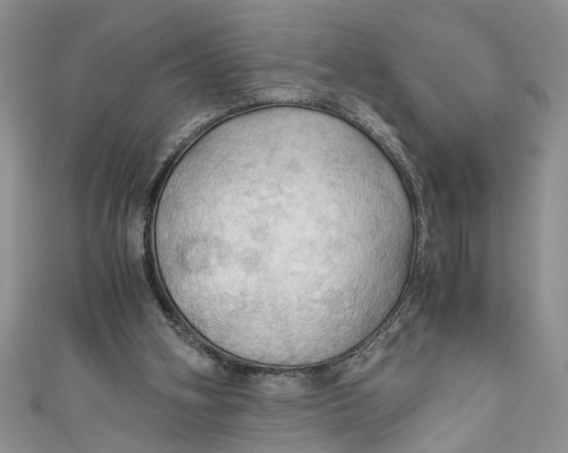 X0000111030106200907161333