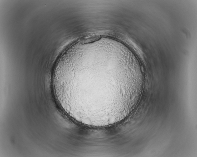 X0000111030107200907161333