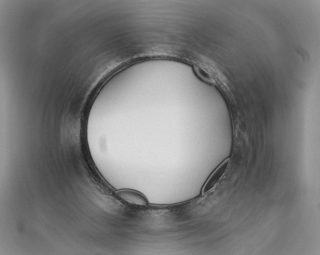 X0000111030108200907161333