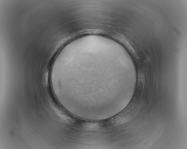 X0000111030110200907161332