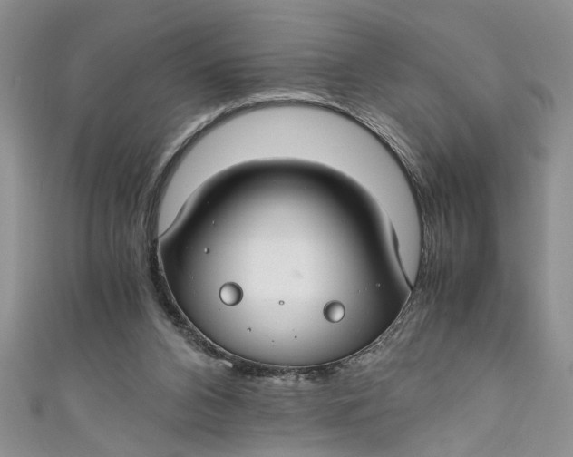 X0000111030112200907161332