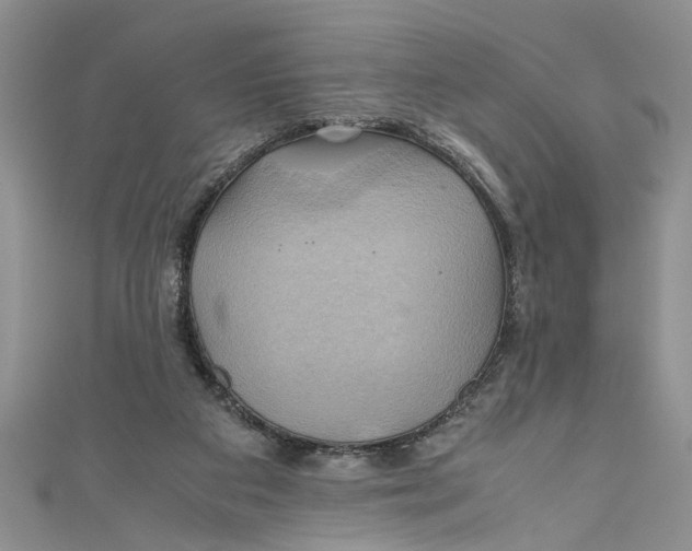 X0000111030113200907161332