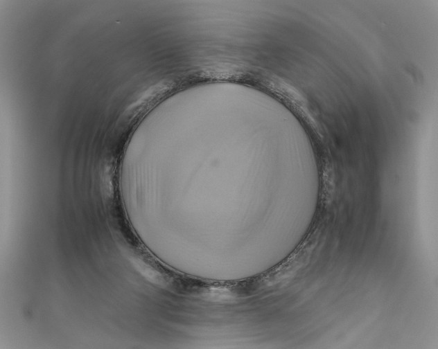 X0000111030114200907161332