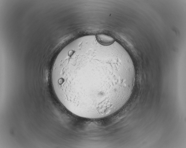 X0000111030115200907161332