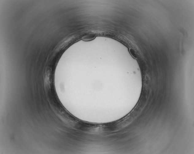 X0000111030116200907161332