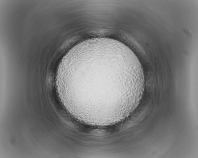 X0000111030119200907161332