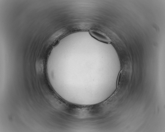 X0000111030120200907161332